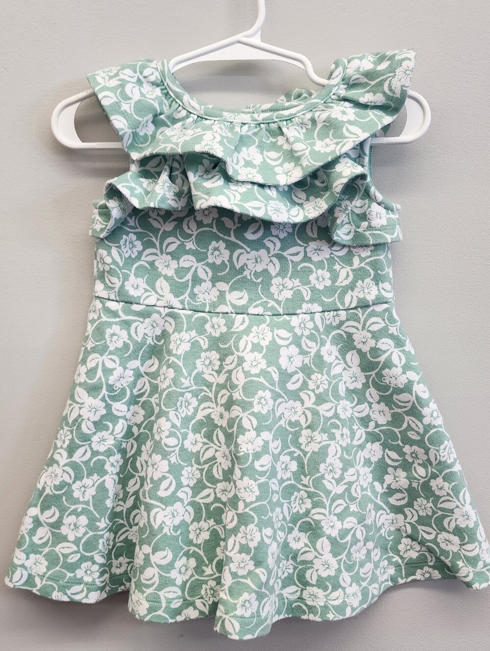 Janie and Jack 12-18M Green Floral Ruffle Collar Dress